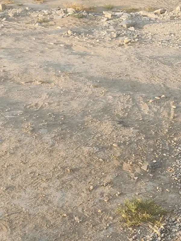 فروش زمین پشت بیمارستان شهرک الغدیر ( اراضی سراجی)