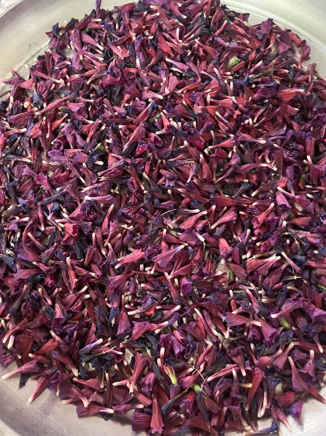 فروش باغ در روستای ازناوله