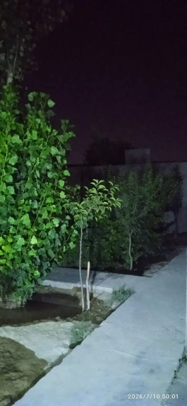 باغچه 400 متری
