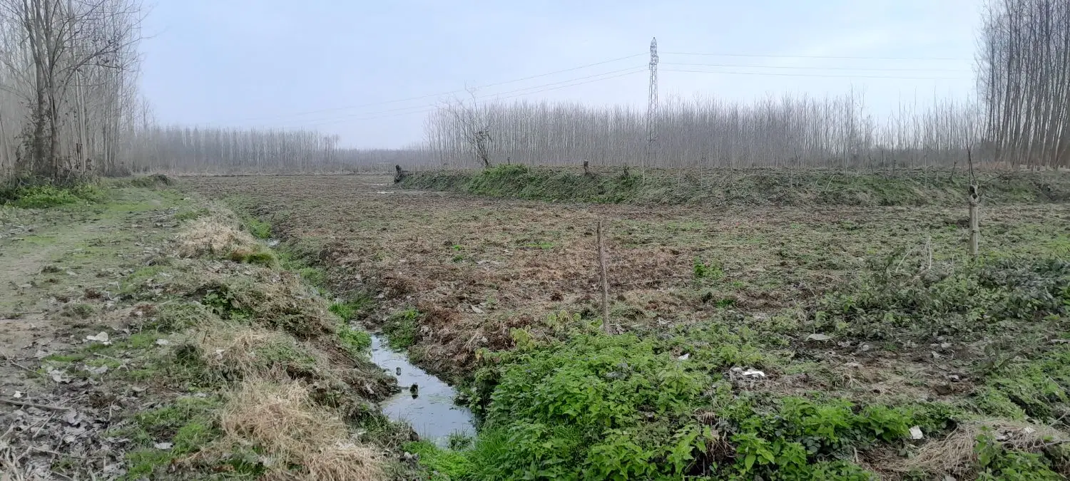 ۱۰۰۰متر زمین باغی