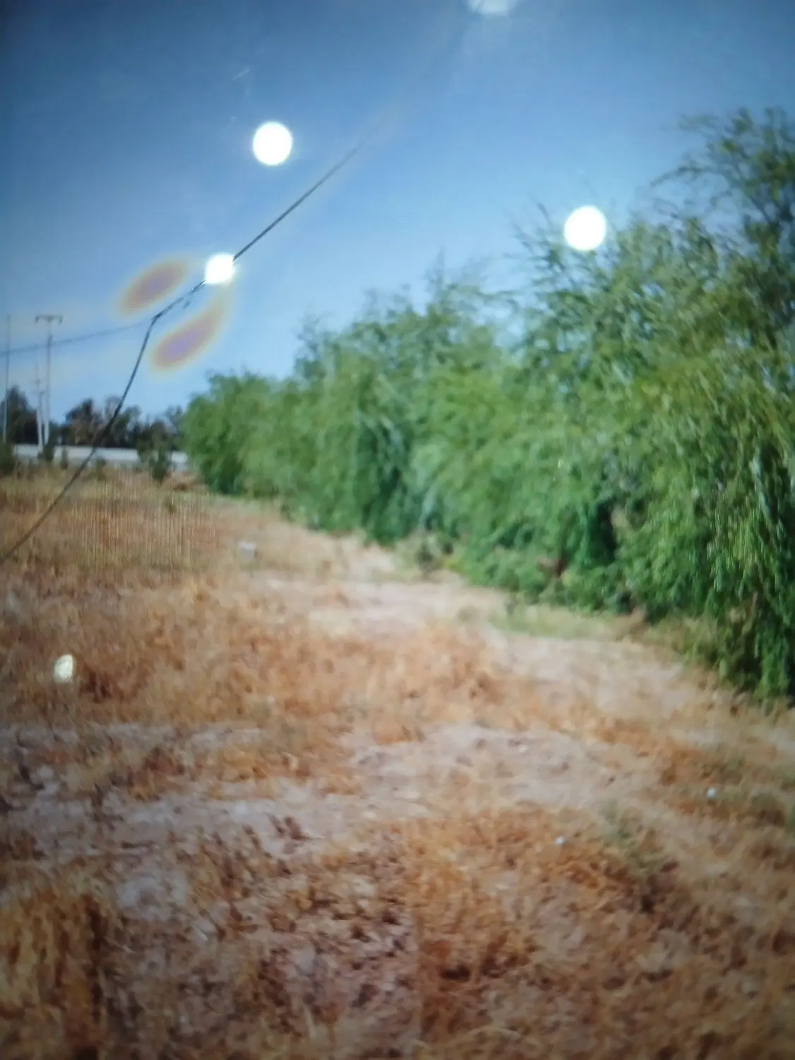 زمین مسکونی هکتار ربع ها ۱۸۰ متر