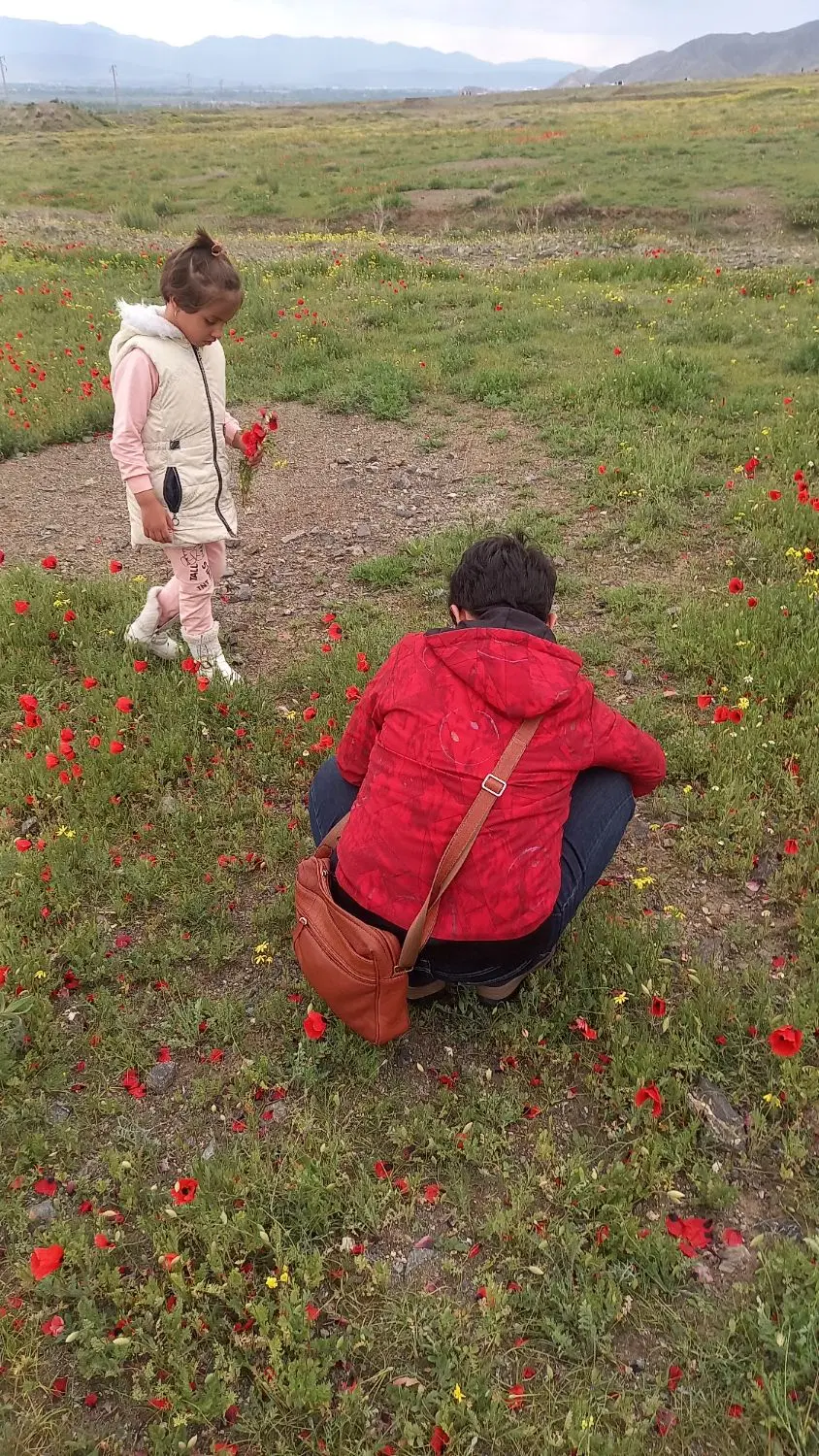 زمین معاوضه با خودرو