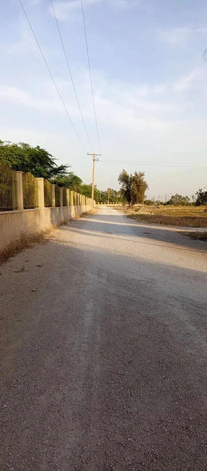 زمین باغ شهری