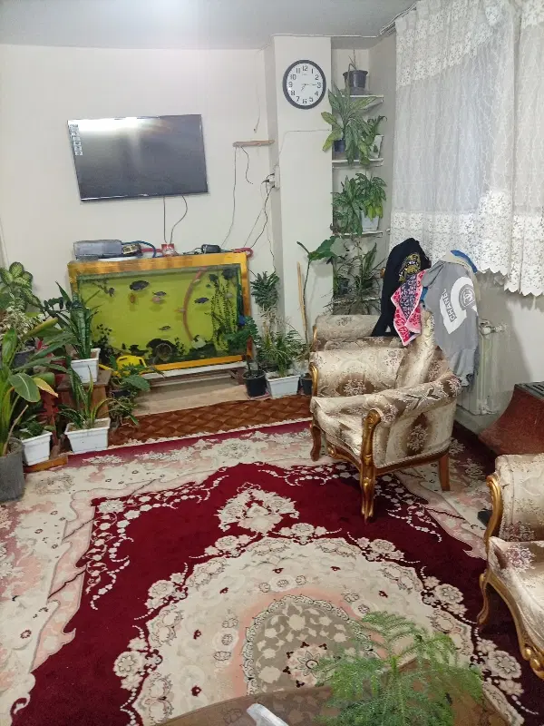 ب۷ساختمان حافظ
