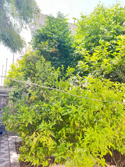رهن کامل سه خوابه 200متری