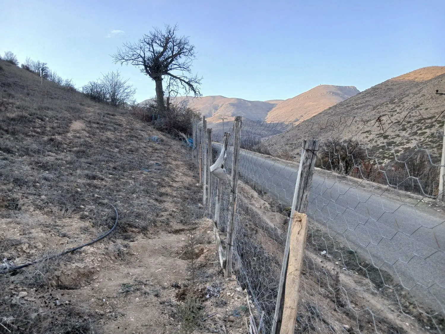 زمین باغی  در کنار جاده اصلی