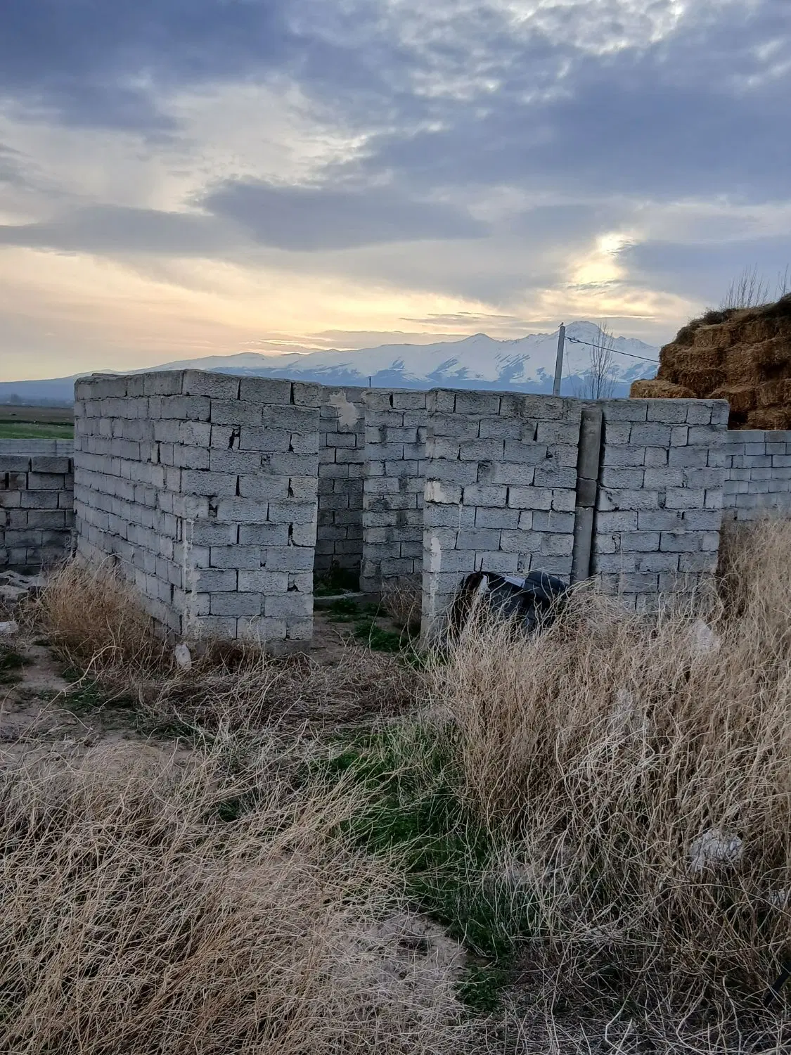 زمین میسکونی اردی