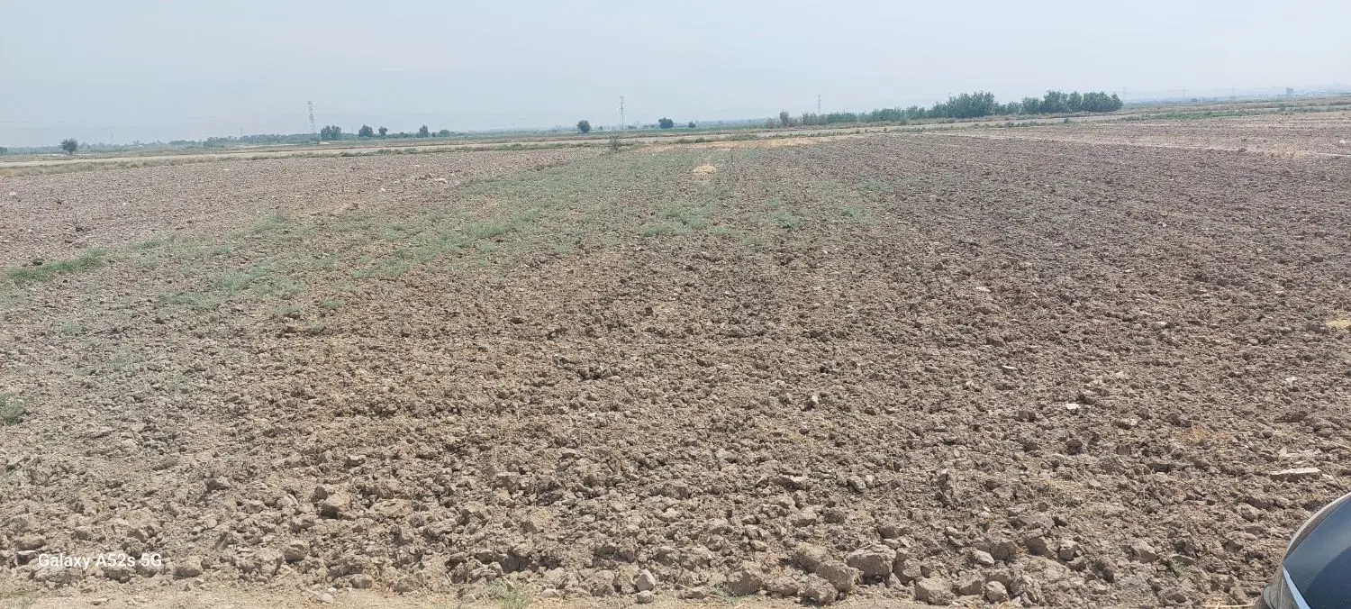 زمین کشاورزی جاده کمربندی