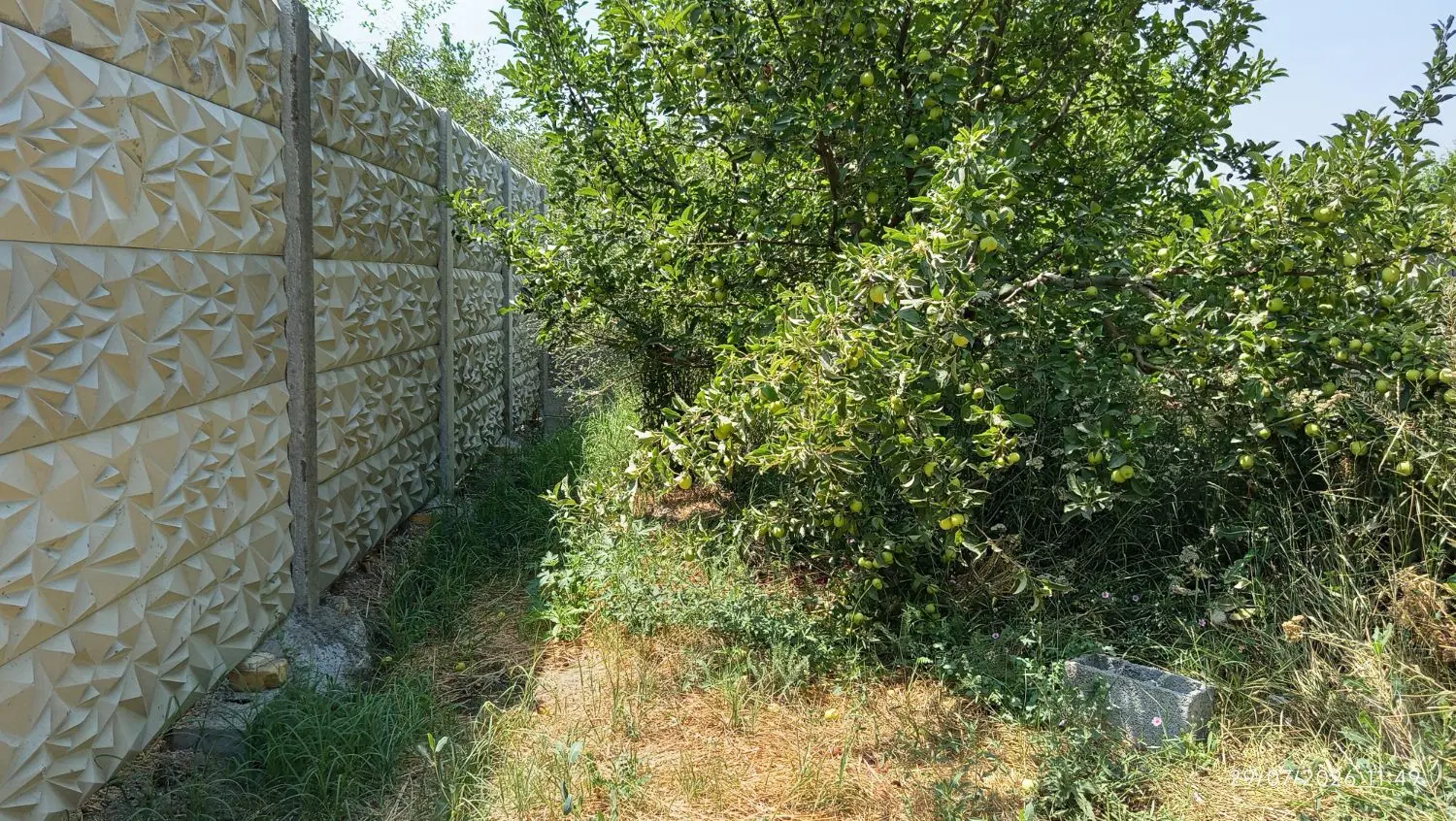 باغچه ۹۰۰ متر چوبتراش