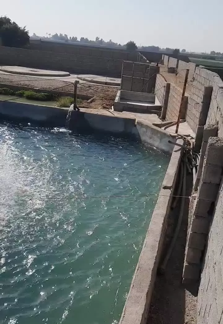 ۱۴۰۰متر کارگاه پرورش ماهی با مجوز رسمی دزفول