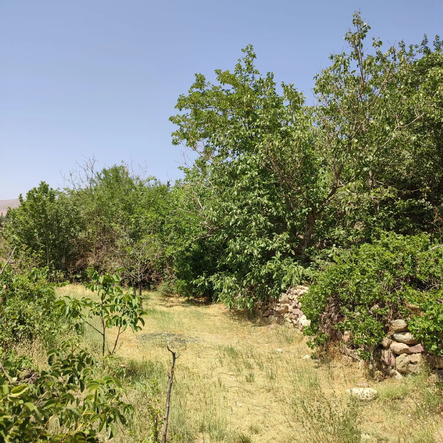 زمین فروشی