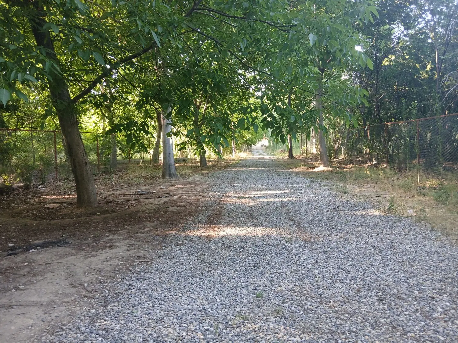 باغ ۸۰۰ متری کنار رودخانه