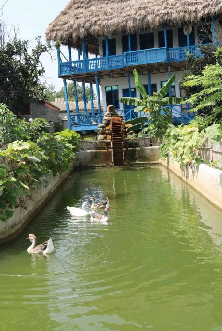 دو خواب  نوبنیاد ۱ متراژ ۷۳