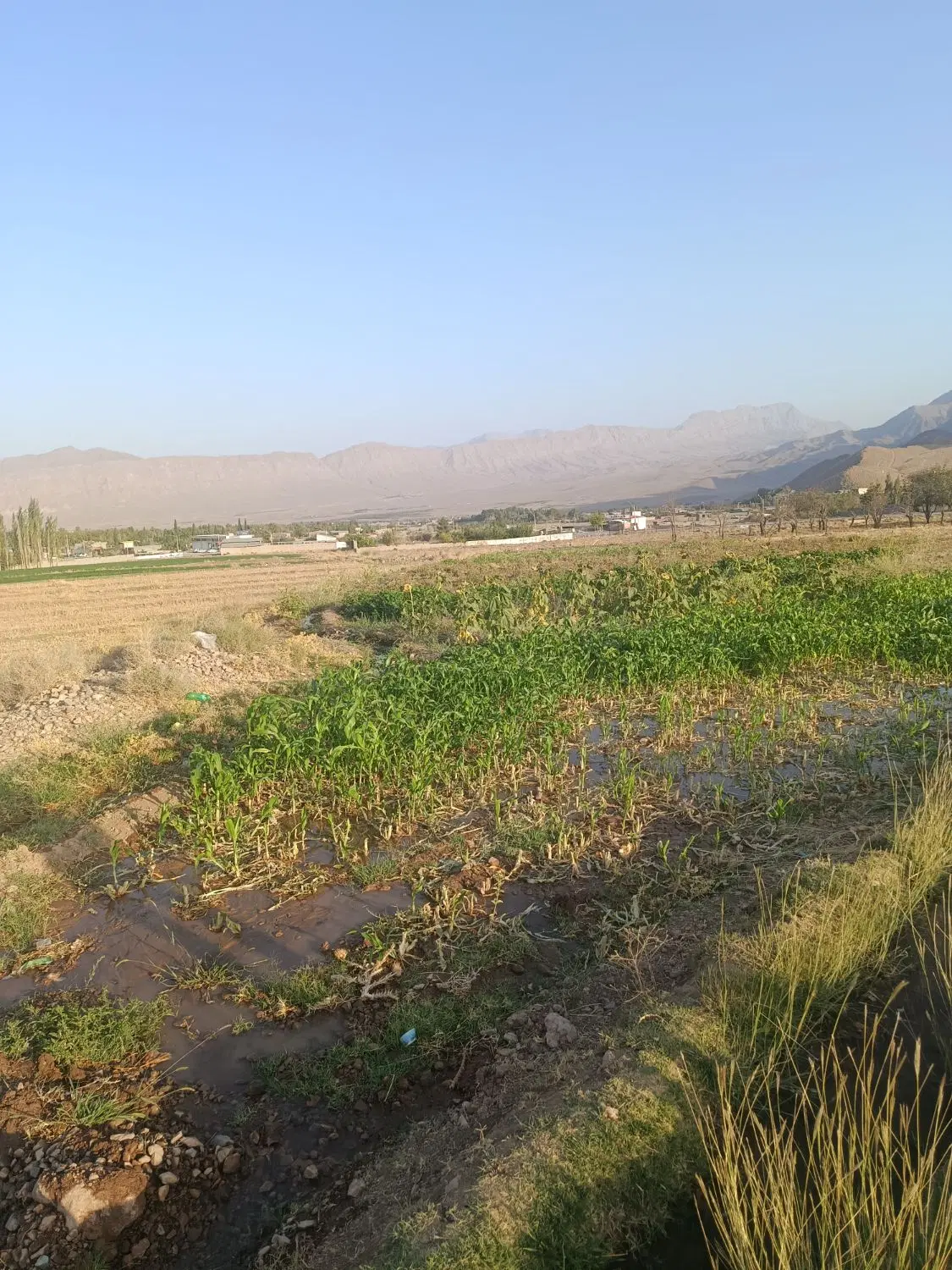 زمین کوهپایه