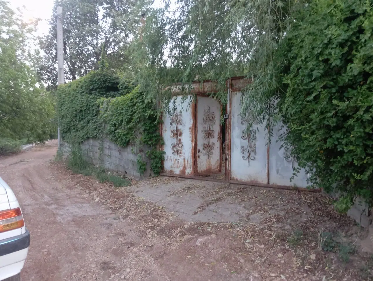 باغ