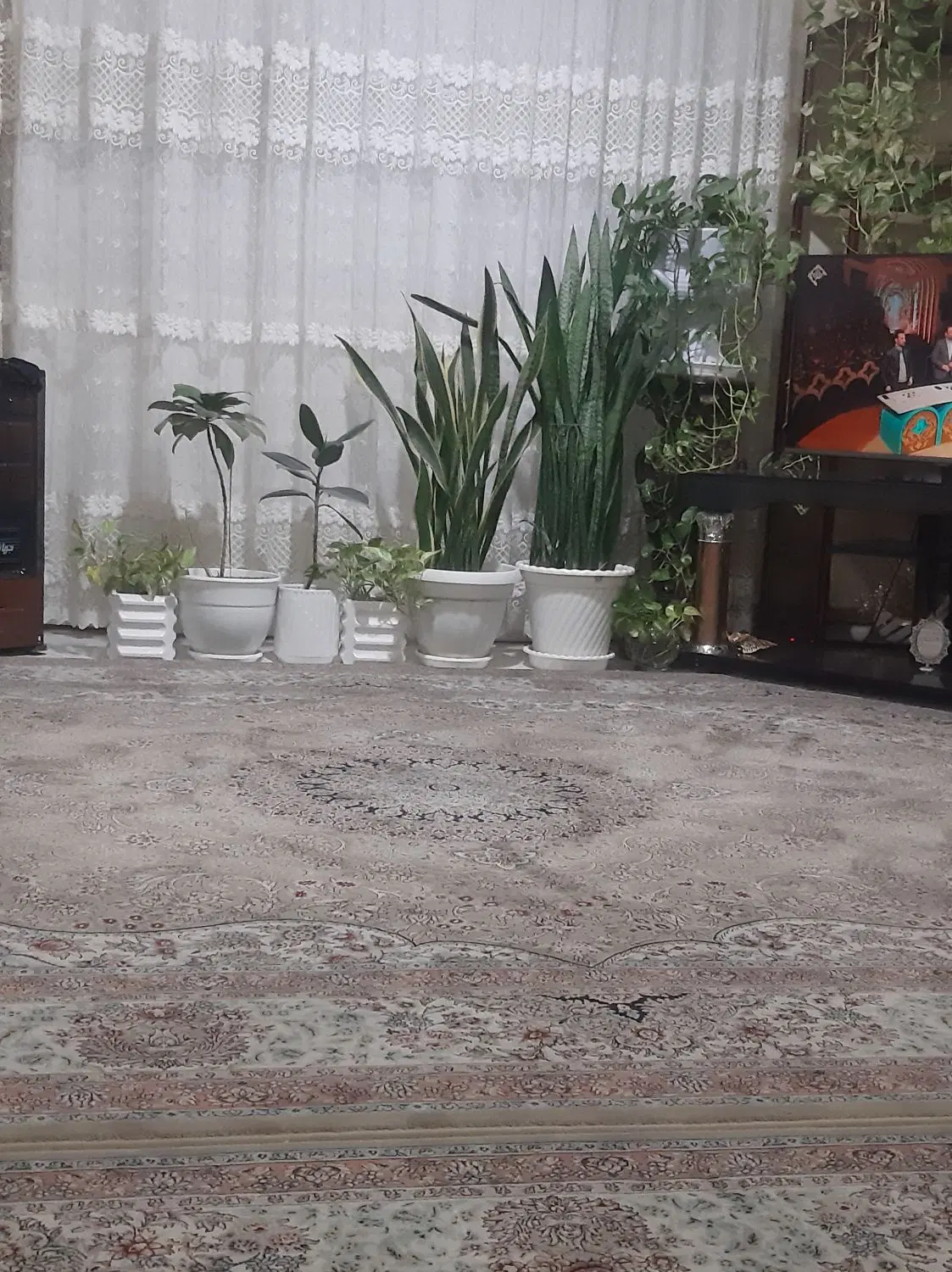 اجاره ۷۸ متری حاشیه گلها سجادیه ۷ مجیدیه ۱۴