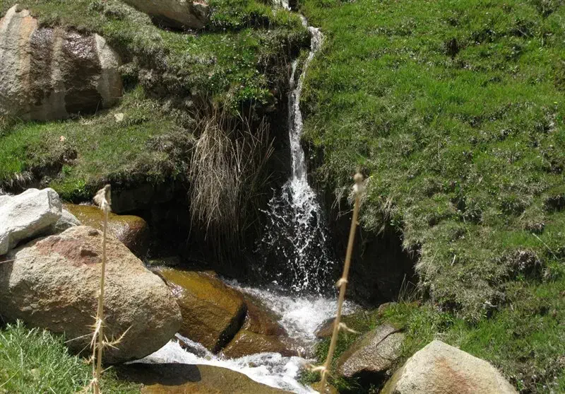 زمین روستای نشلج