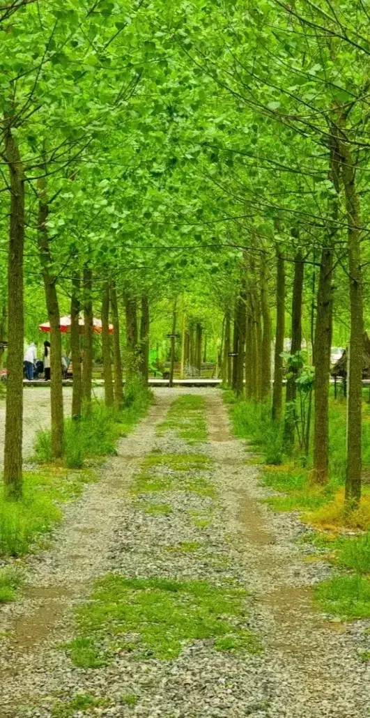 ویلاهای لوکس شهرآبی