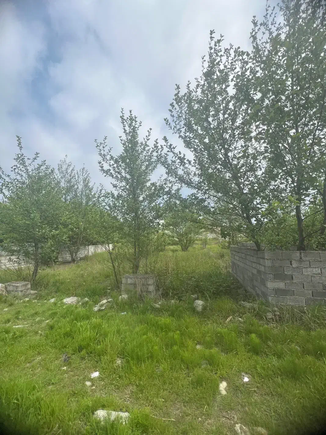 فروش زمین در