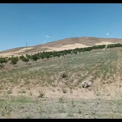 زمین کشاورزی وباغی