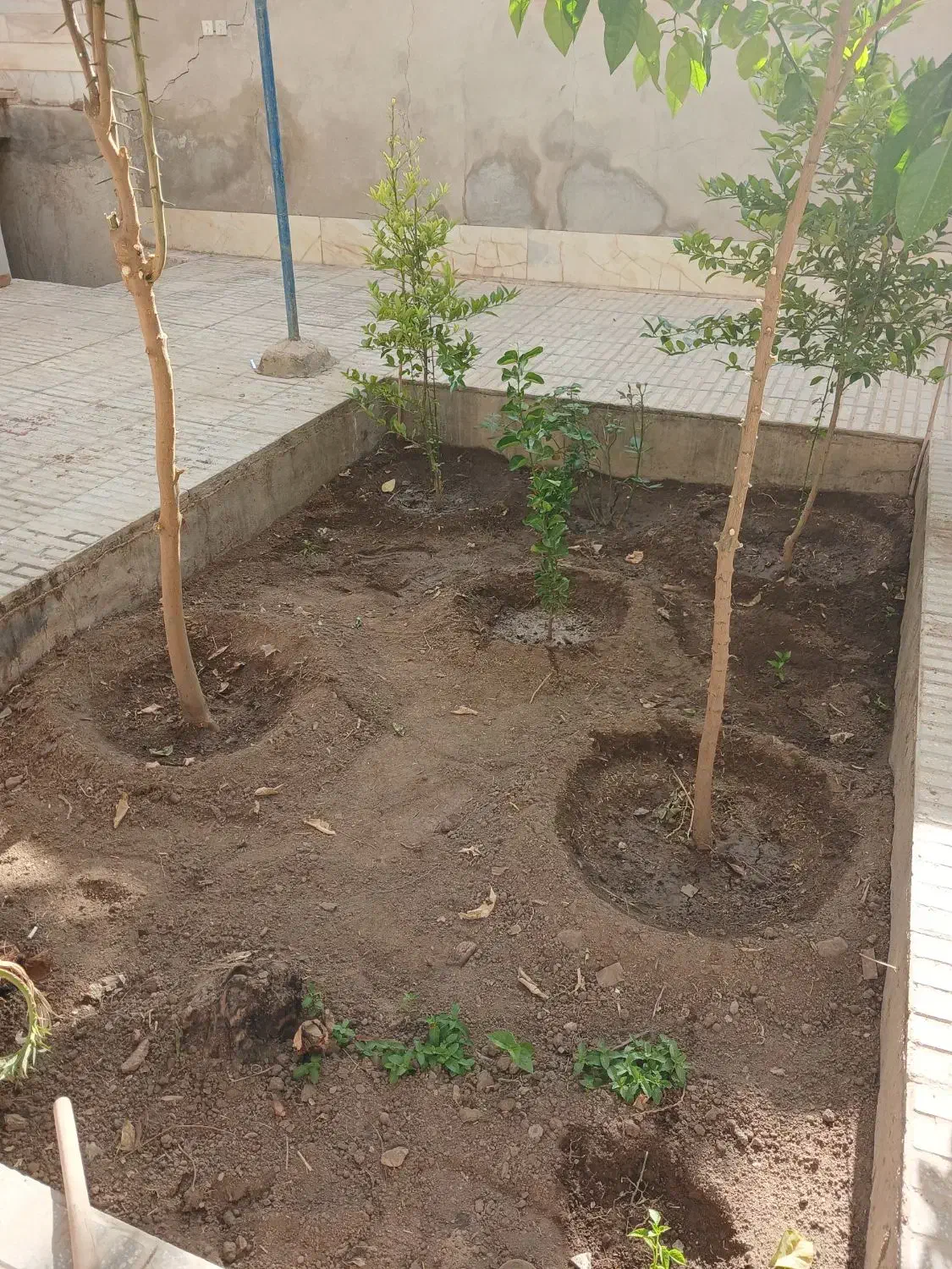 معاوَضه خانه