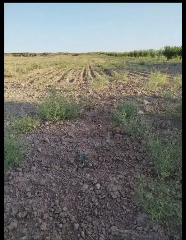 زمین فروشی