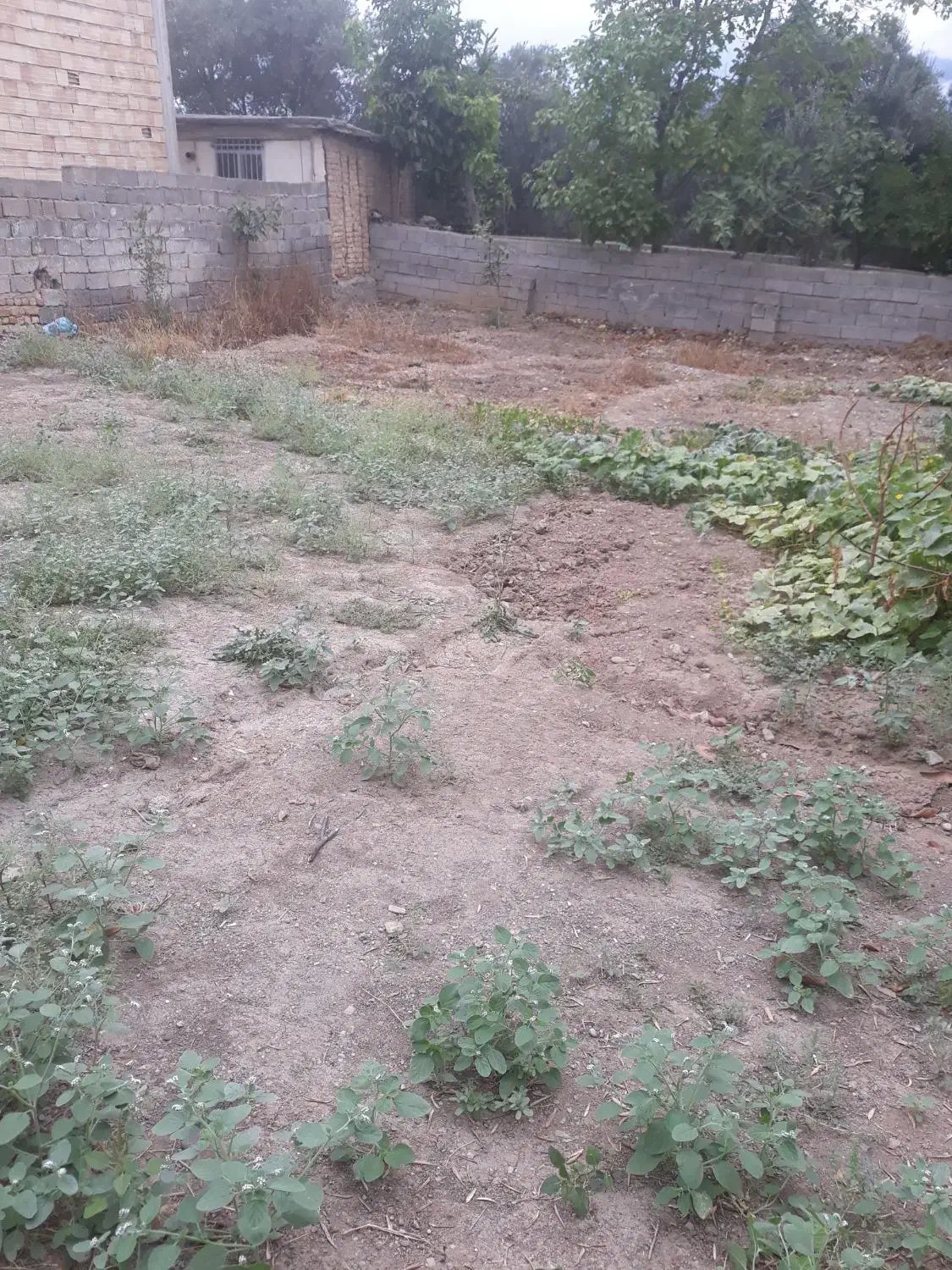فروش زمین