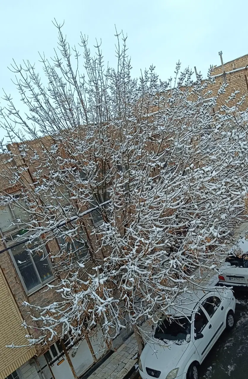 خانه اجاره ای