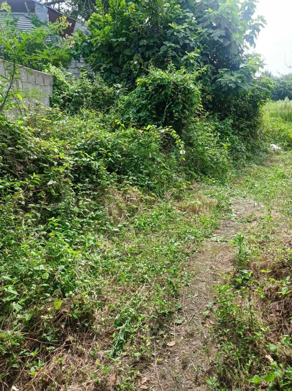فروش خانه میرزاکوچک خانی