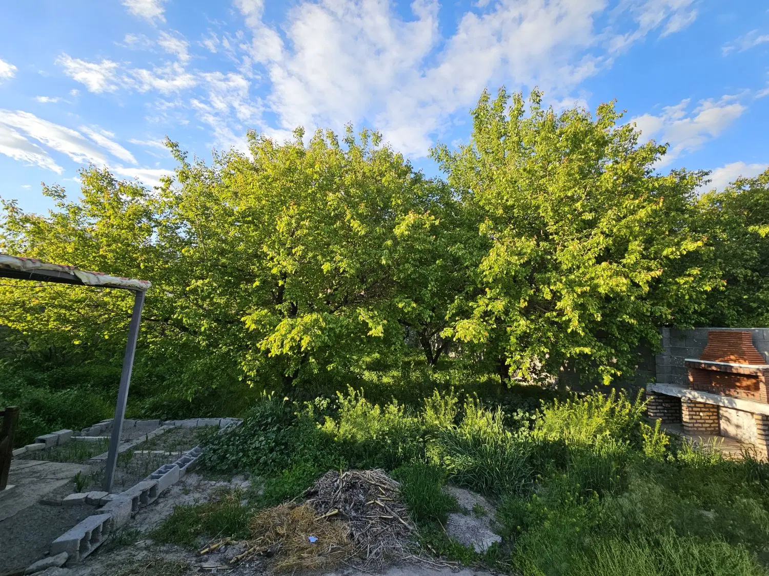 باغچه واقع در امامزاده عیسی کان
