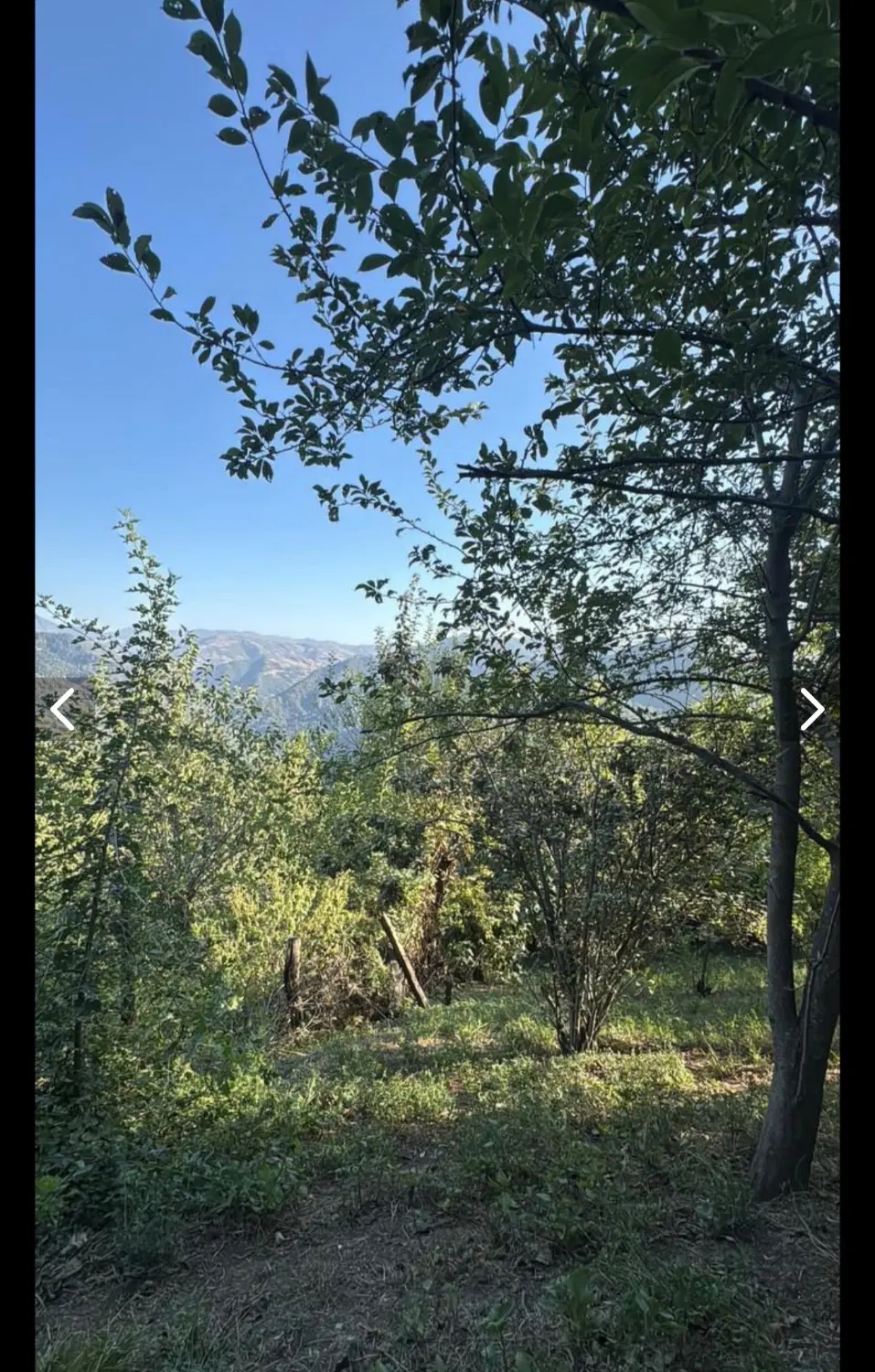 باغ و خونه روستایی