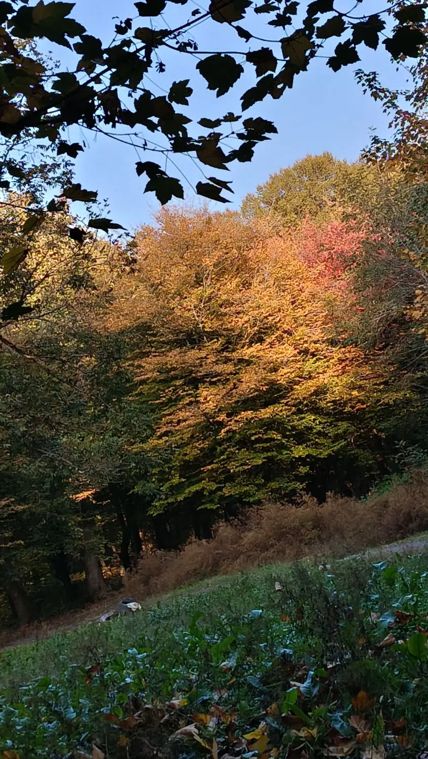 خونه ویلایی