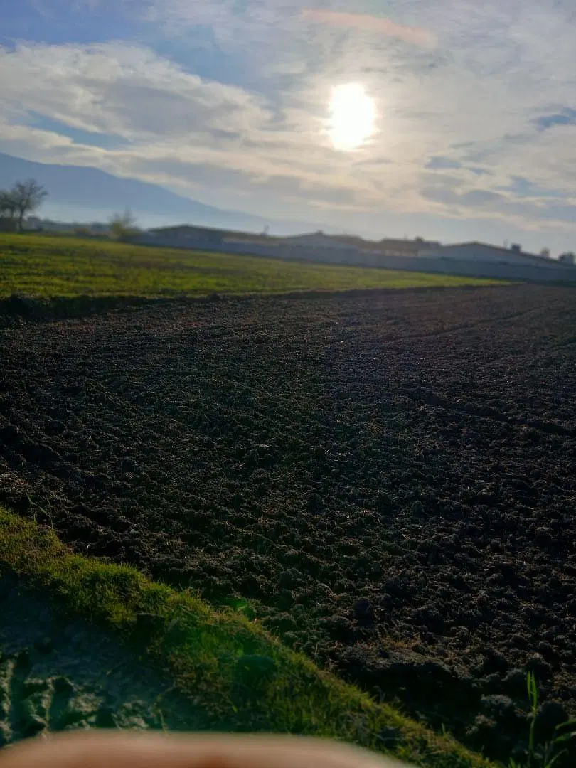 زمین کشاورزی