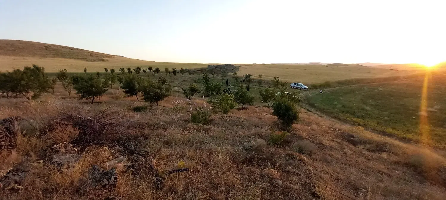 فروش زمین برای خانه باغ