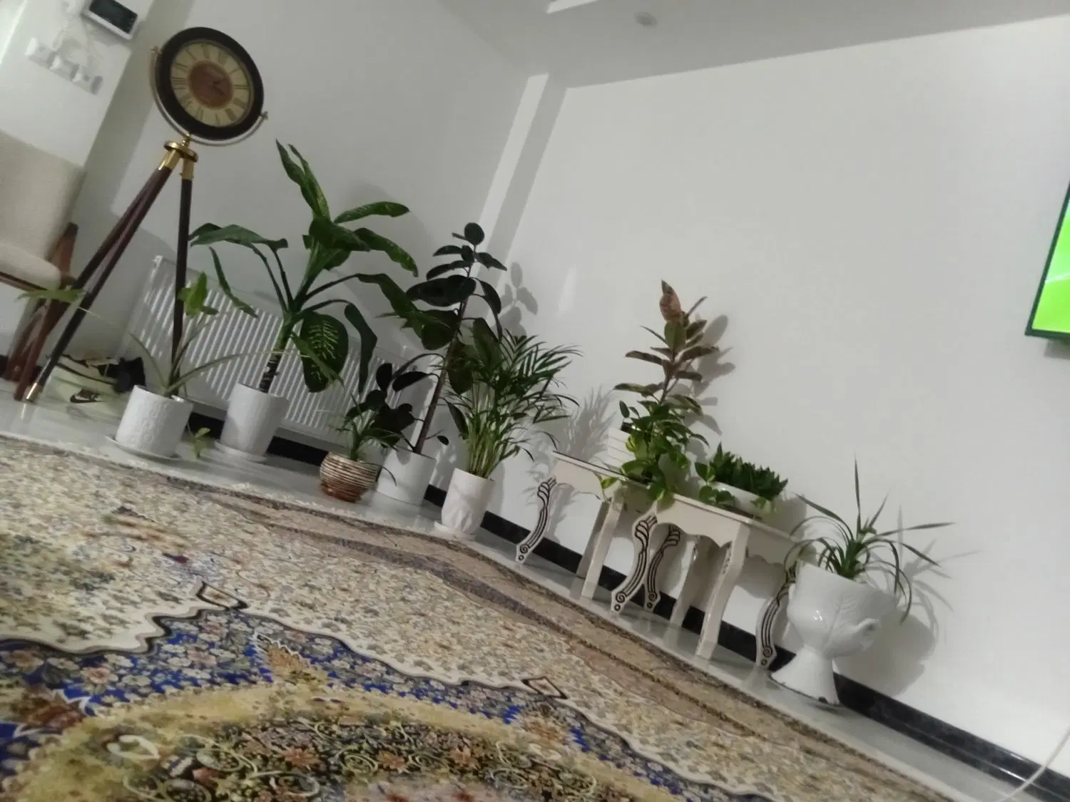 اپارتمان ۵۲متری الغدیر