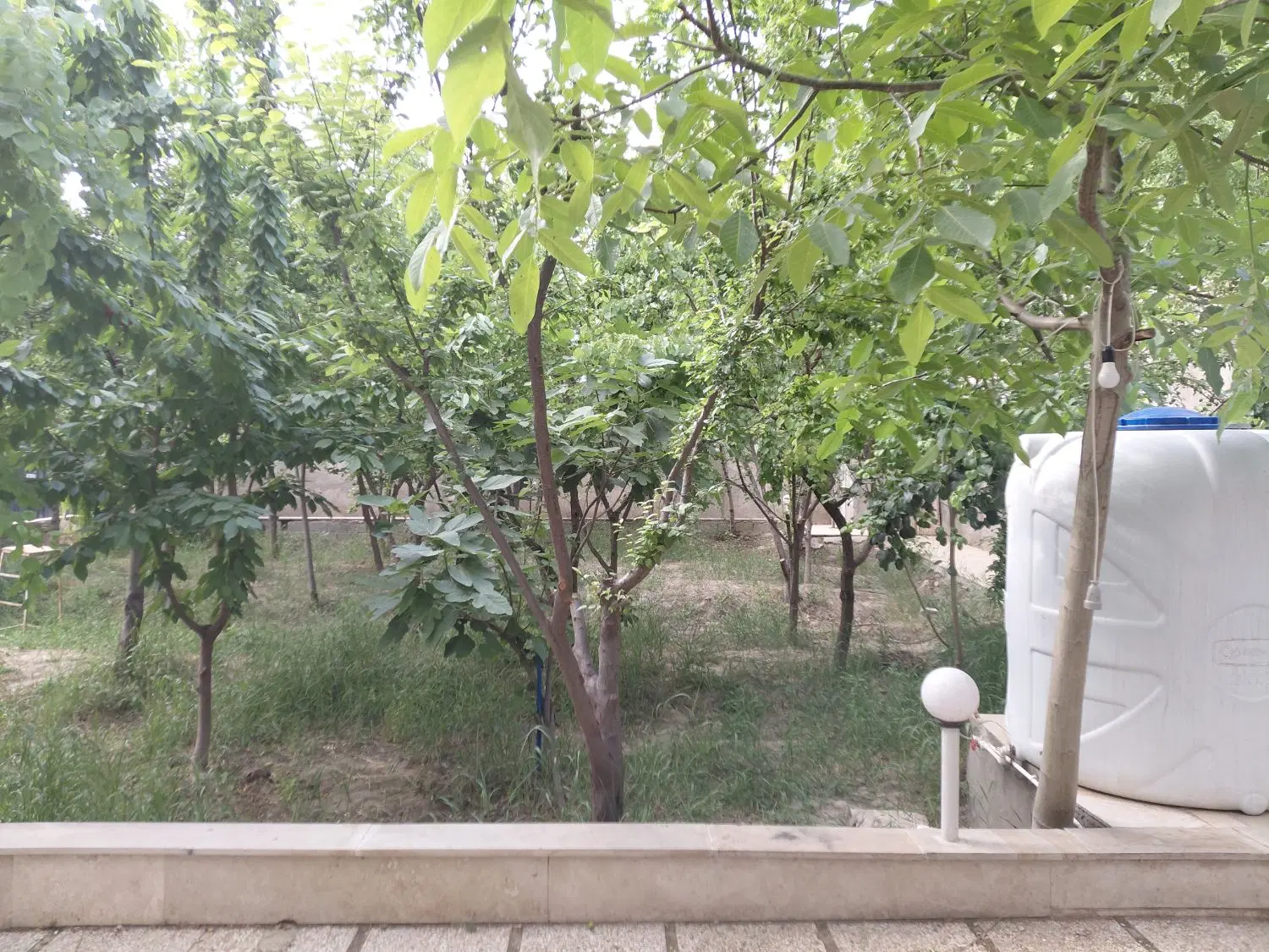 باغچه ویلای ۵۰۰ متری با صفا