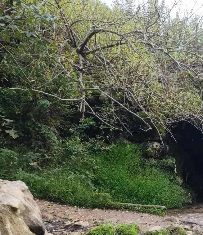 زمین تجاری مسکونی