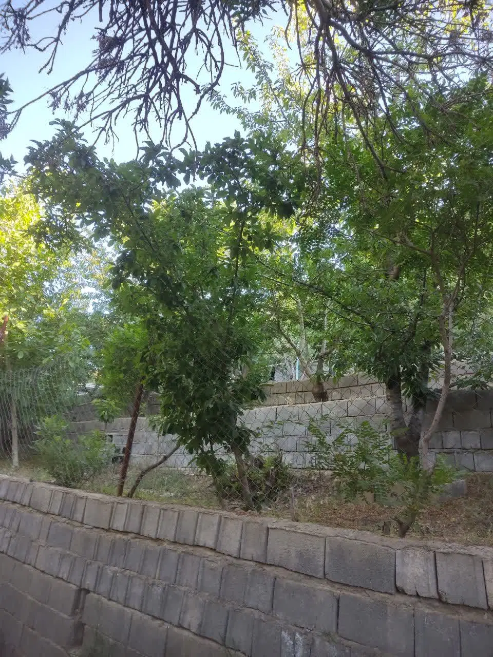 باغ