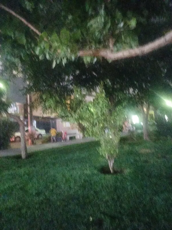 یک باب زیر زمین اجاره ای