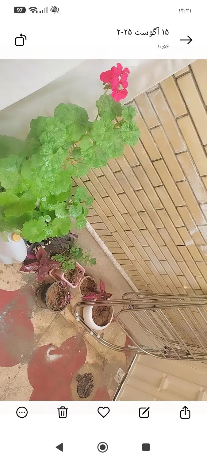 فروش خونه