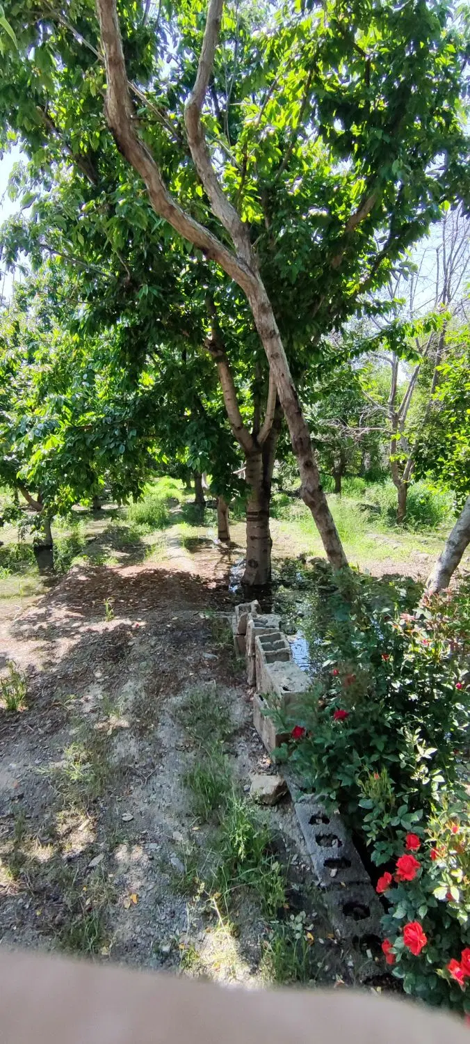 باغ ملکی