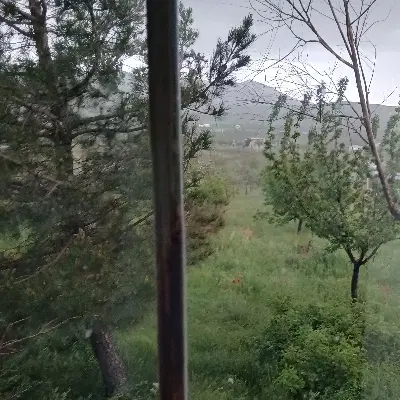باغ ۶۰۰۰ متری جاده بیجار