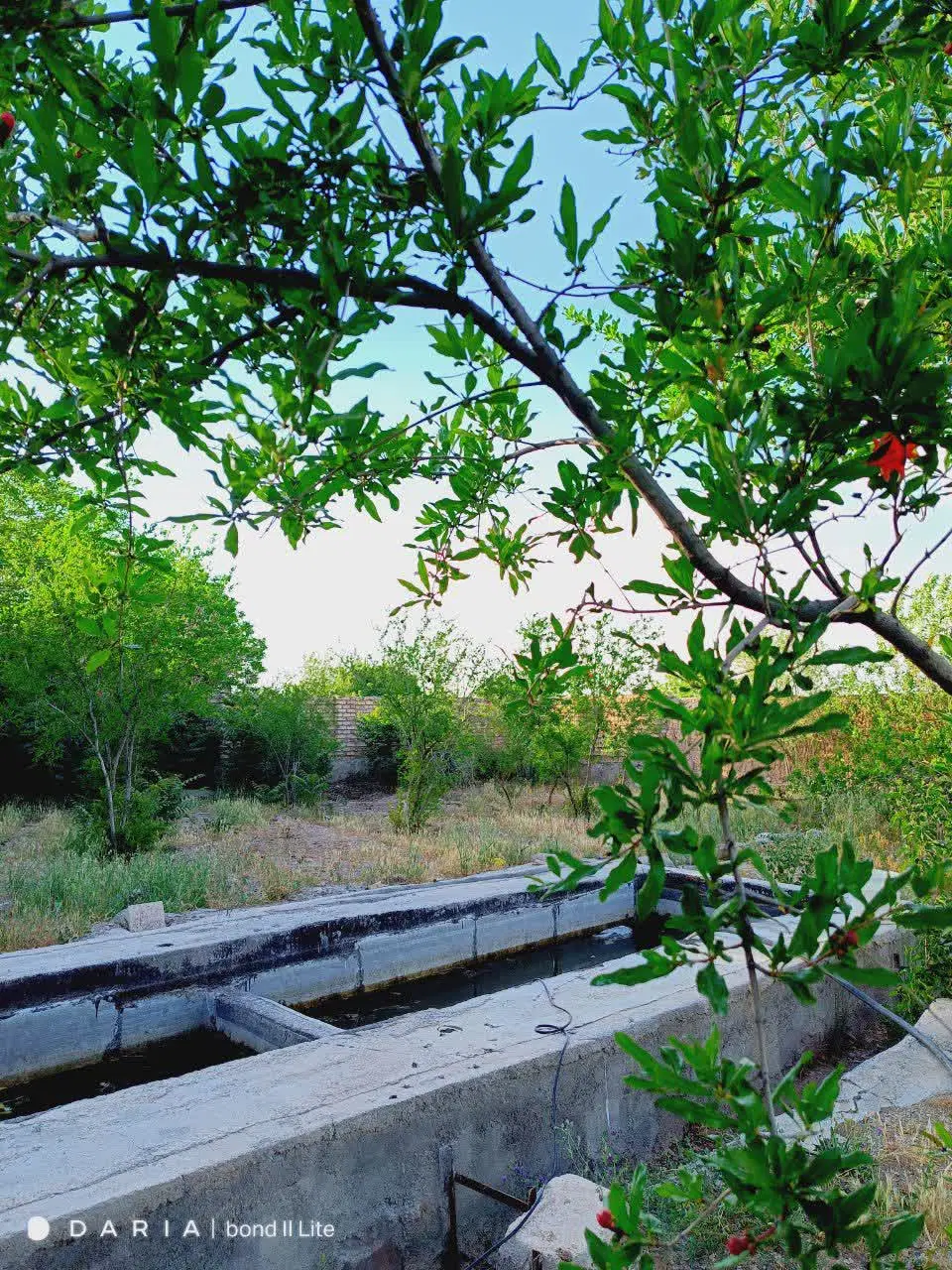 باغ همراه با اتاق ۲۰ متری داخل کهک