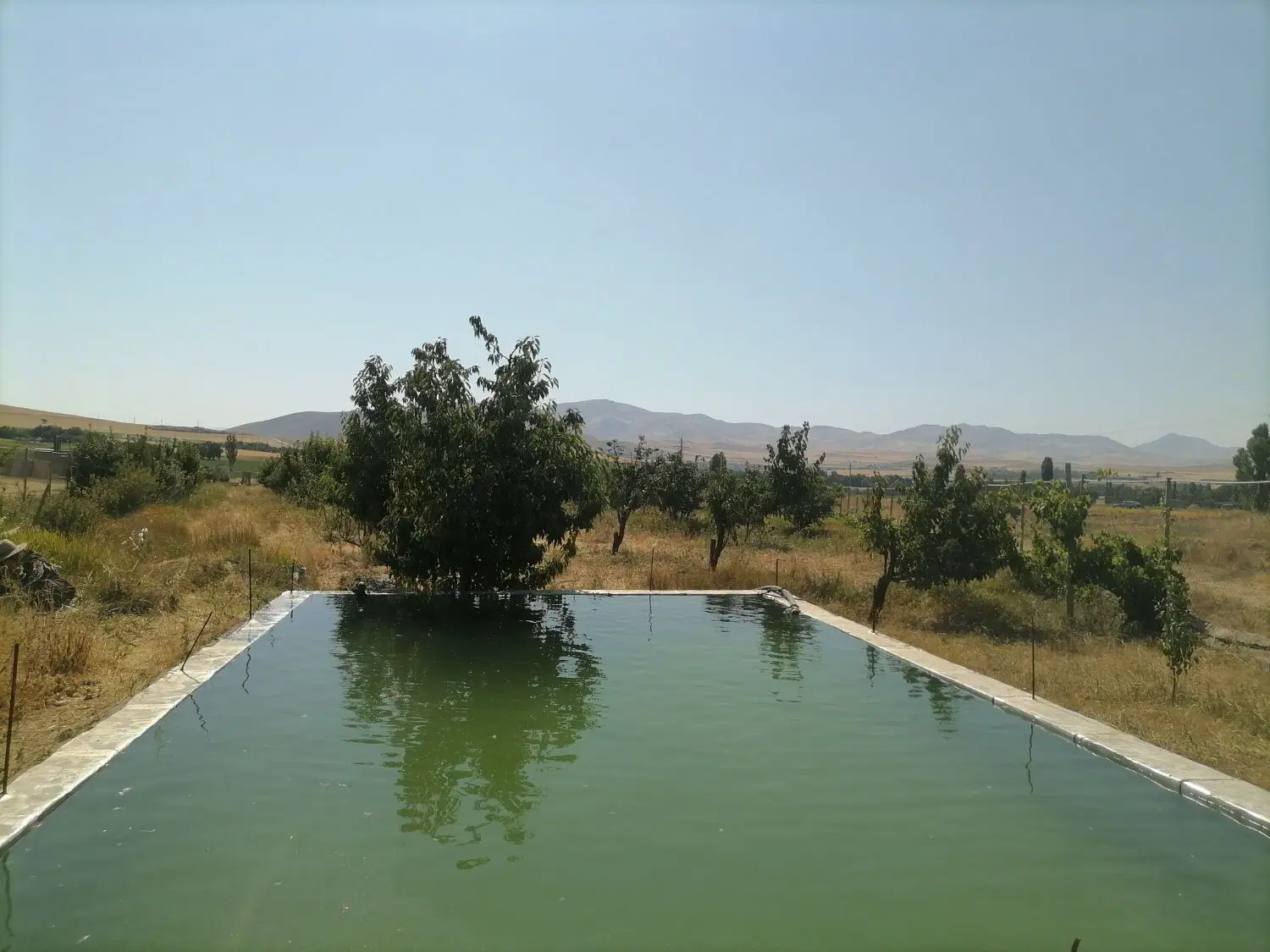 خانه باغ