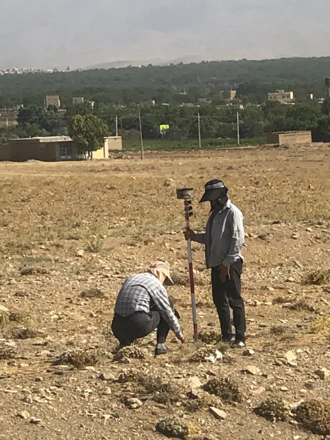 ۳۰۰ متر زمین با جواز ساخت