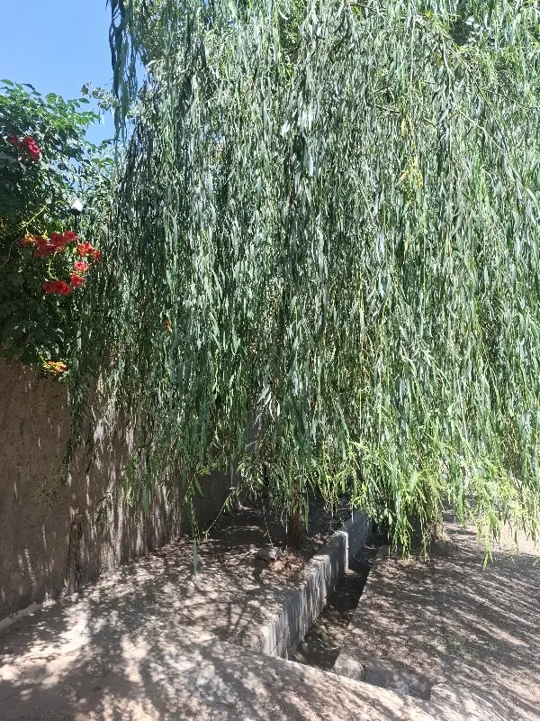 زمین مسکونی فروشی