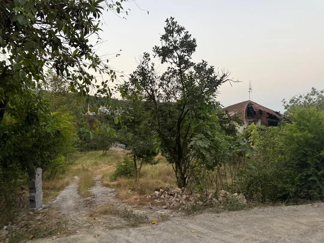 فروش زمین ۳۵۰ متری طلارسر رامسر