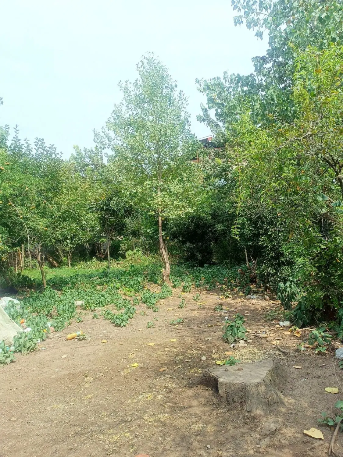 زمین مسکونی