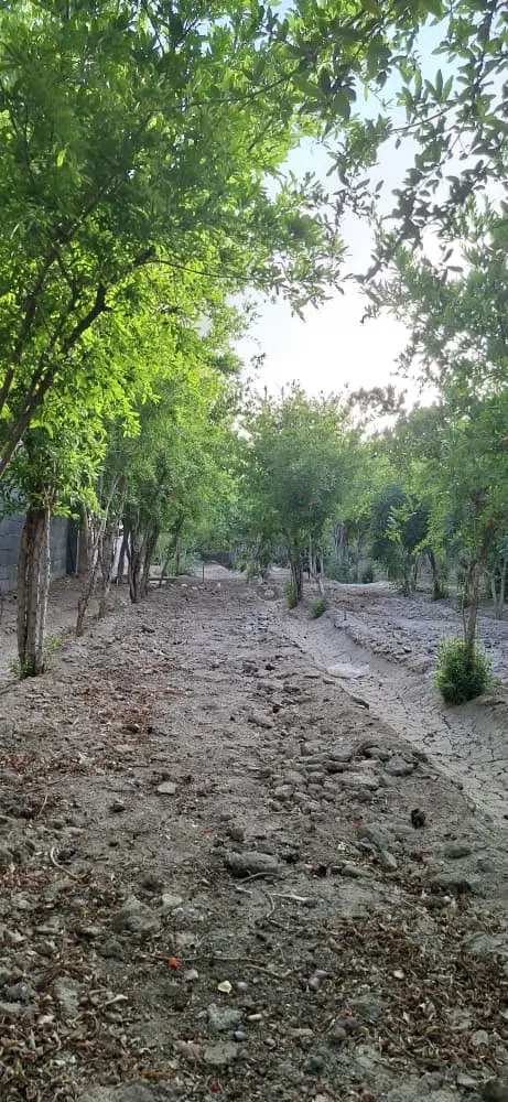 باغ چهاردیواری اتوبان فرودگاه