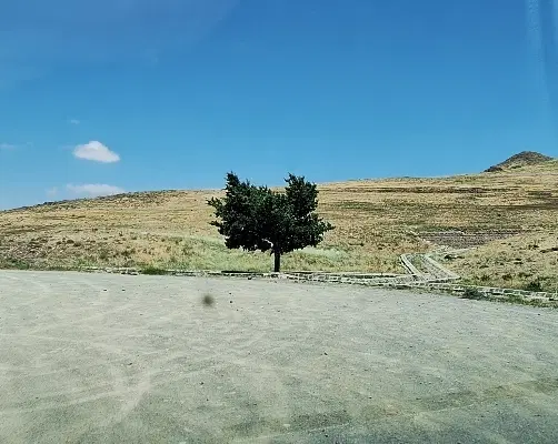 باغ رضا۲
